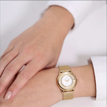 Christina Collect - Vergoldete Uhr mit Netz | 335SW-Mesh