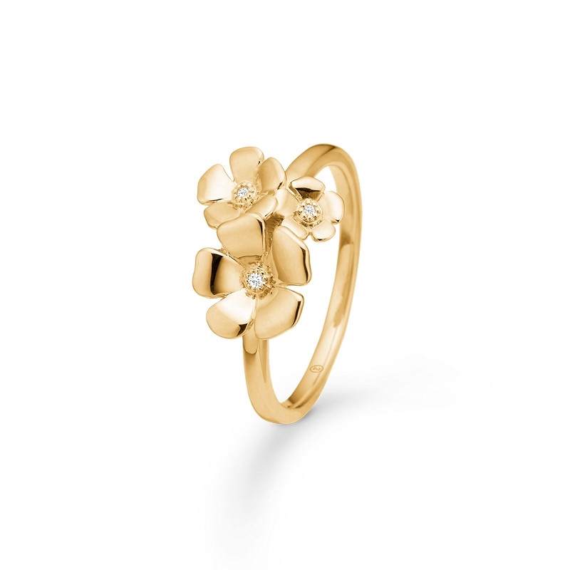 Mads Z Ringe Mads Z Ringe